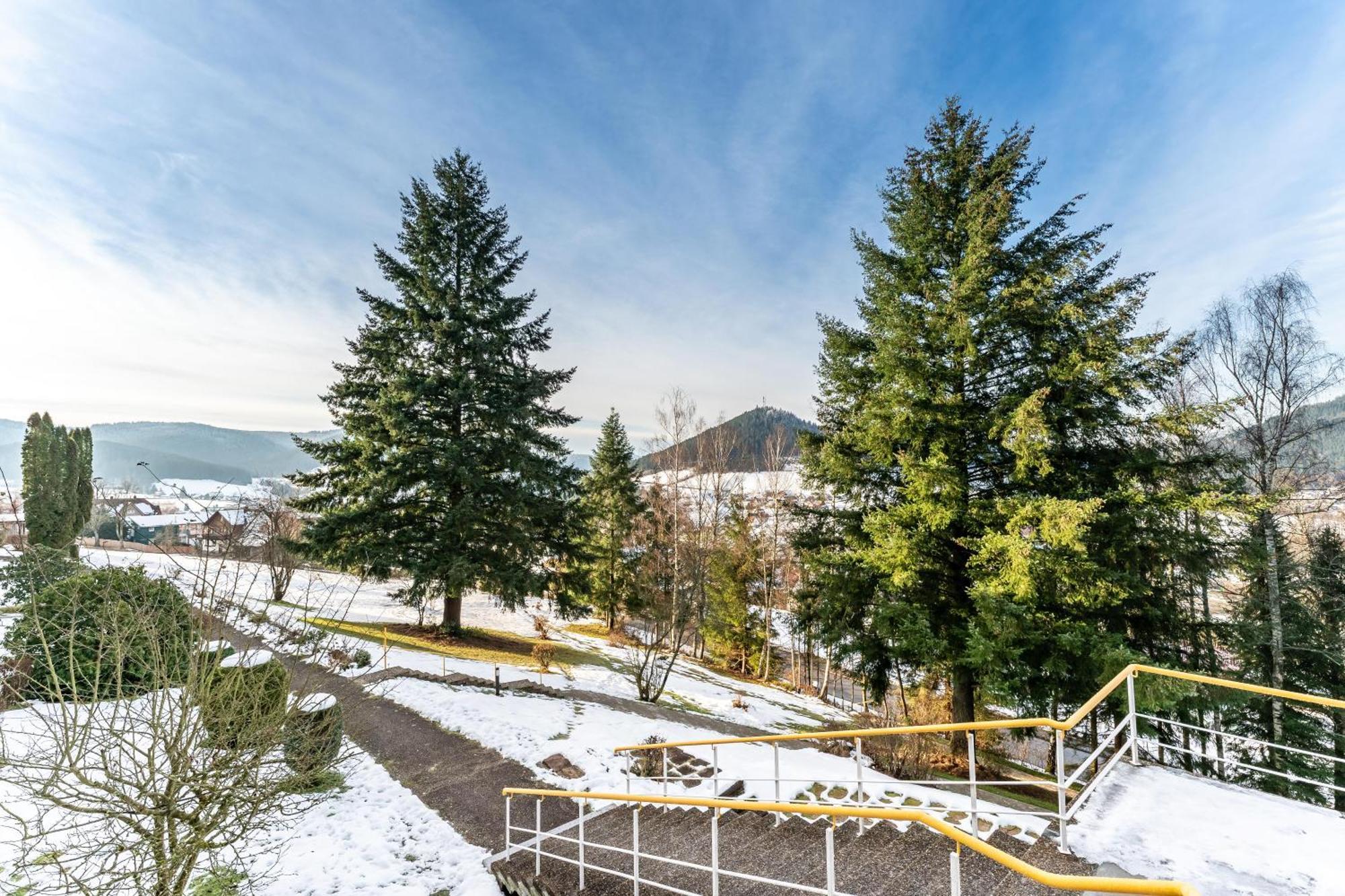 Ferienwohnung Juri5 In Baiersbronn Mit Pool Exterior foto